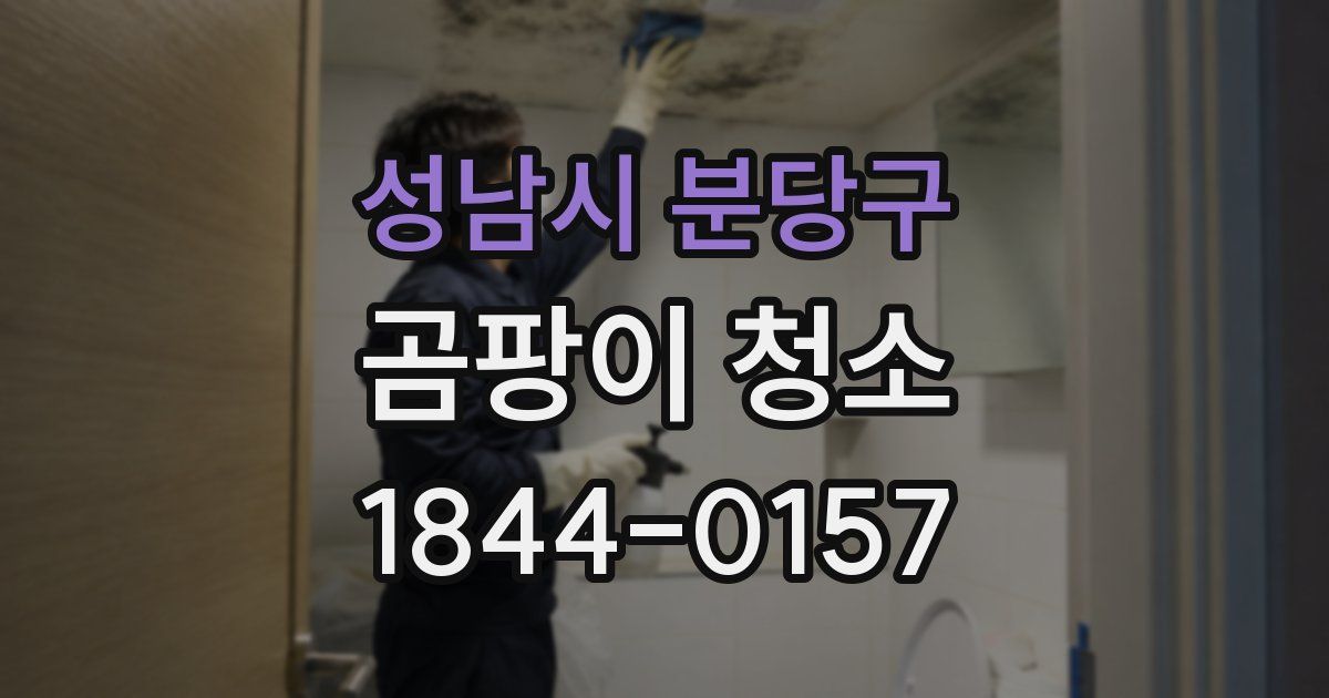 성남시 분당구 곰팡이 청소
