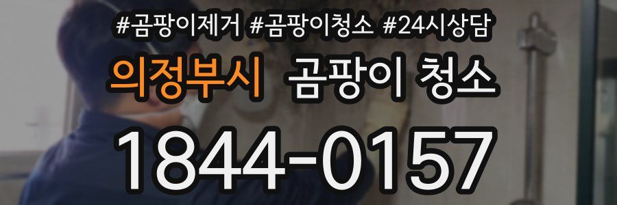 의정부시 곰팡이 청소