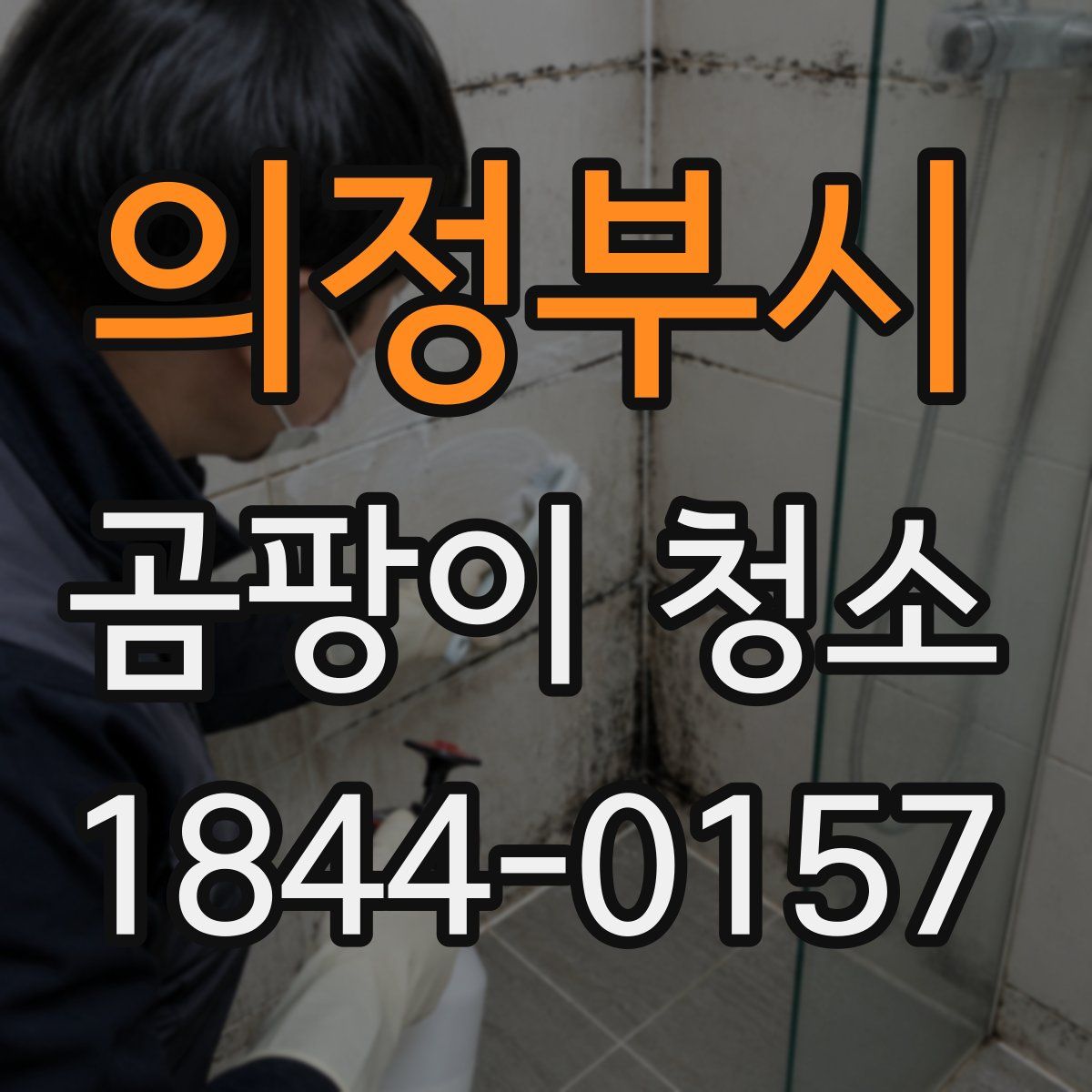 의정부시 곰팡이 청소