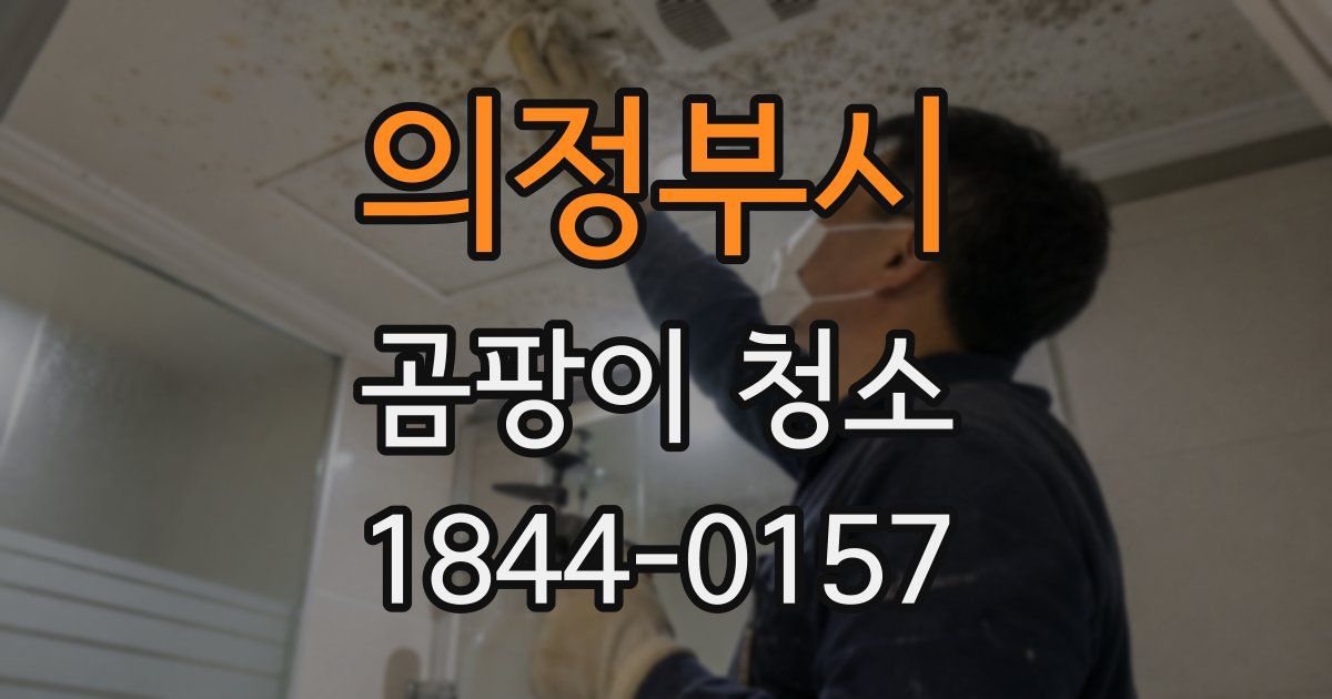 의정부시 곰팡이 청소