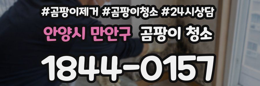 안양시 만안구 곰팡이 청소