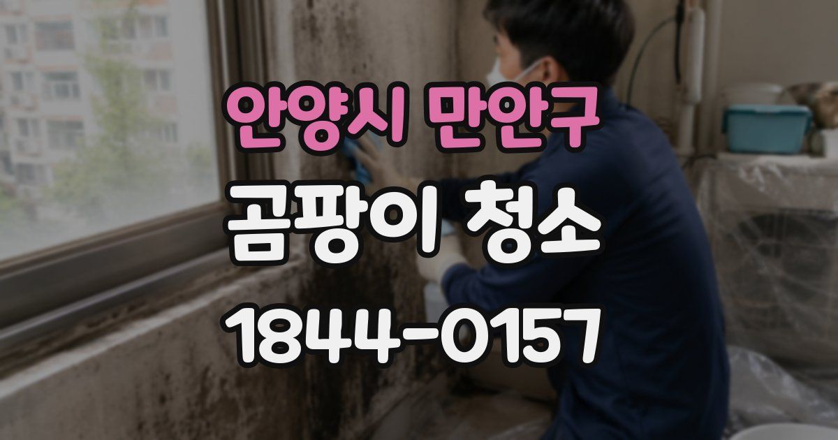 안양시 만안구 곰팡이 청소