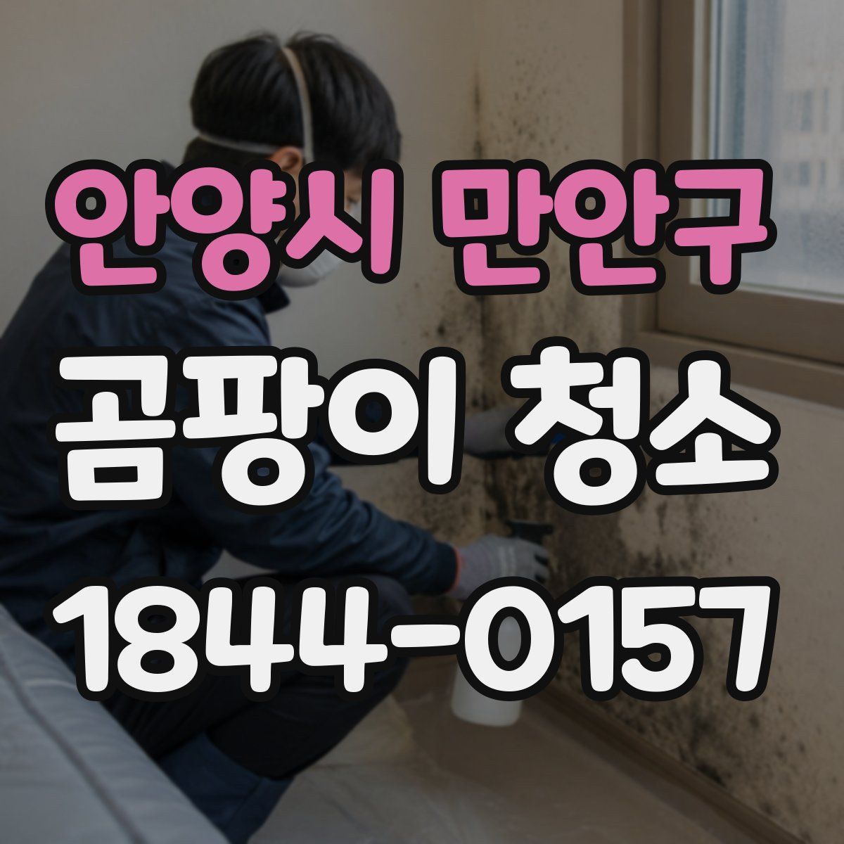 안양시 만안구 곰팡이 청소