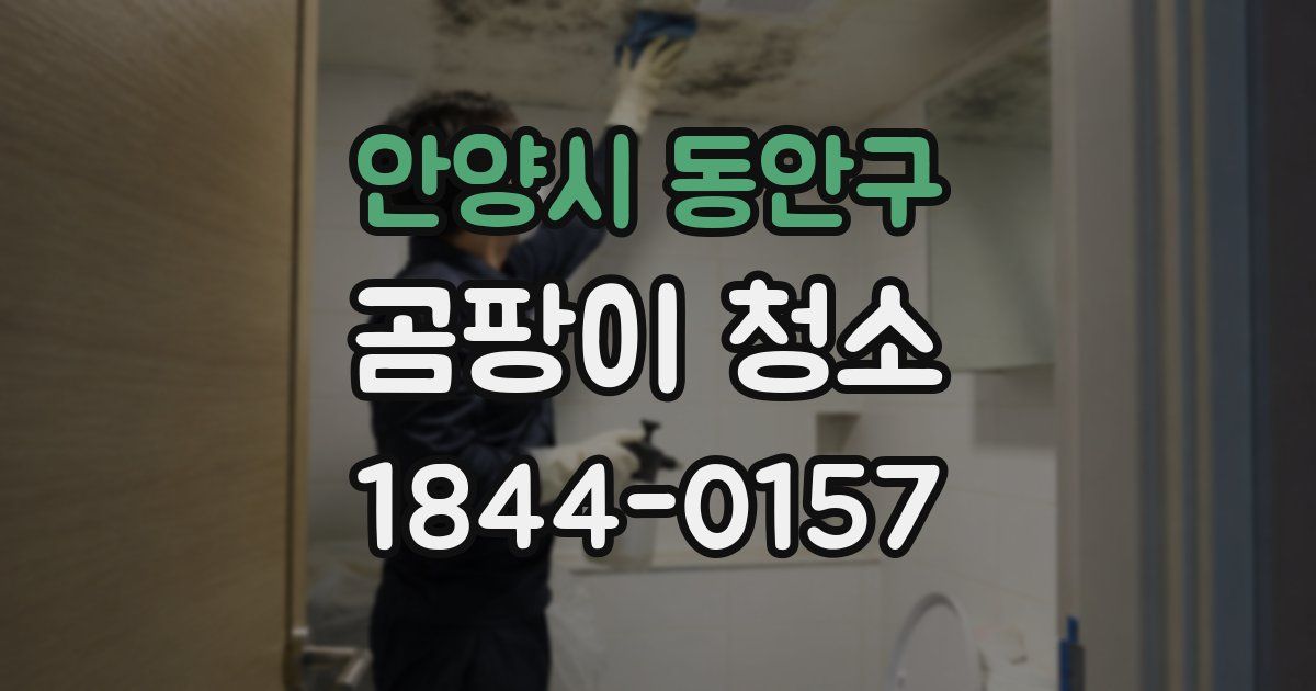 안양시 동안구 곰팡이 청소