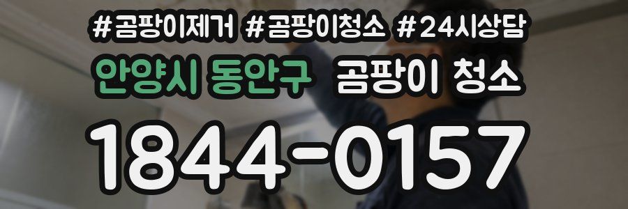 안양시 동안구 곰팡이 청소