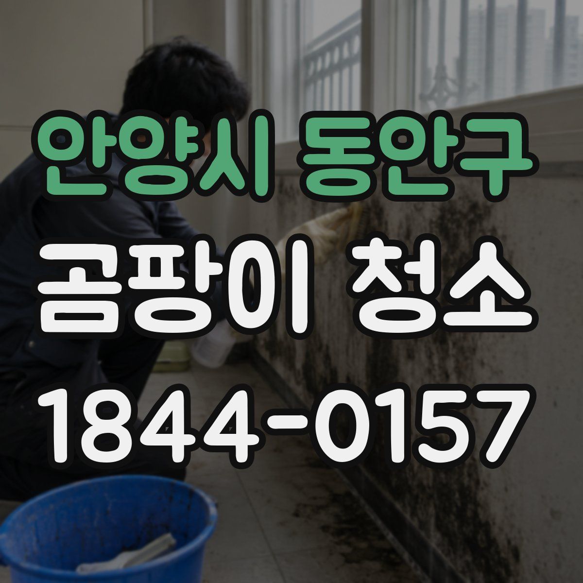 안양시 동안구 곰팡이 청소