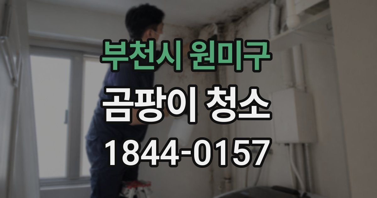 부천시 원미구 곰팡이 청소