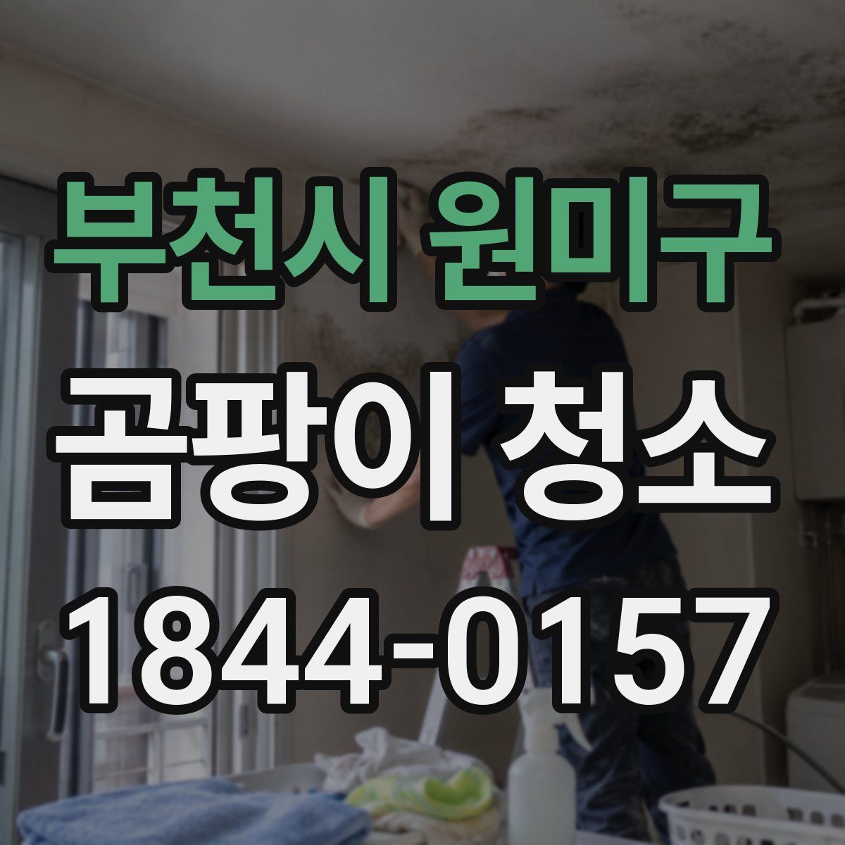 부천시 원미구 곰팡이 청소
