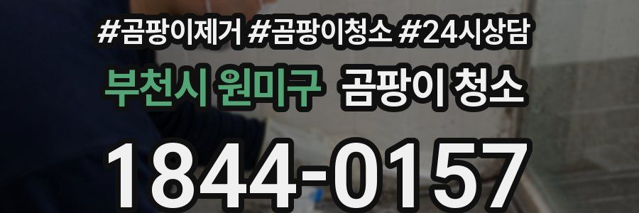 부천시 원미구 곰팡이 청소