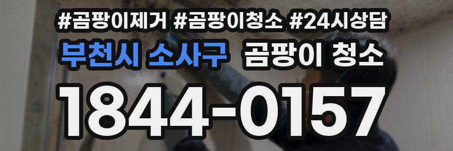 부천시 소사구 곰팡이 청소