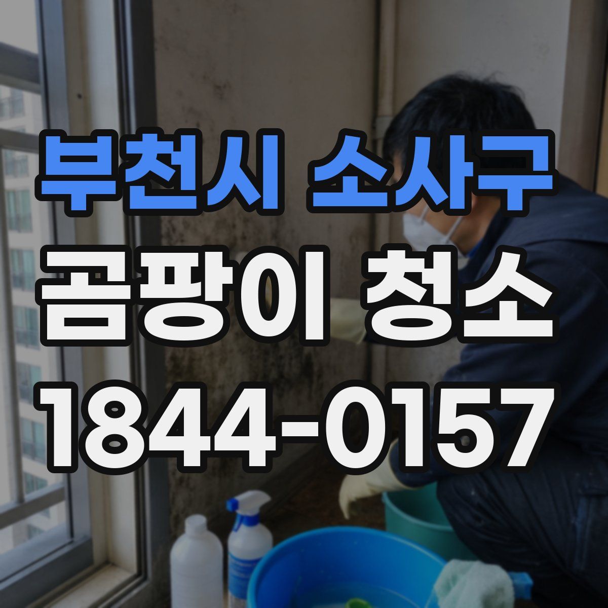 부천시 소사구 곰팡이 청소