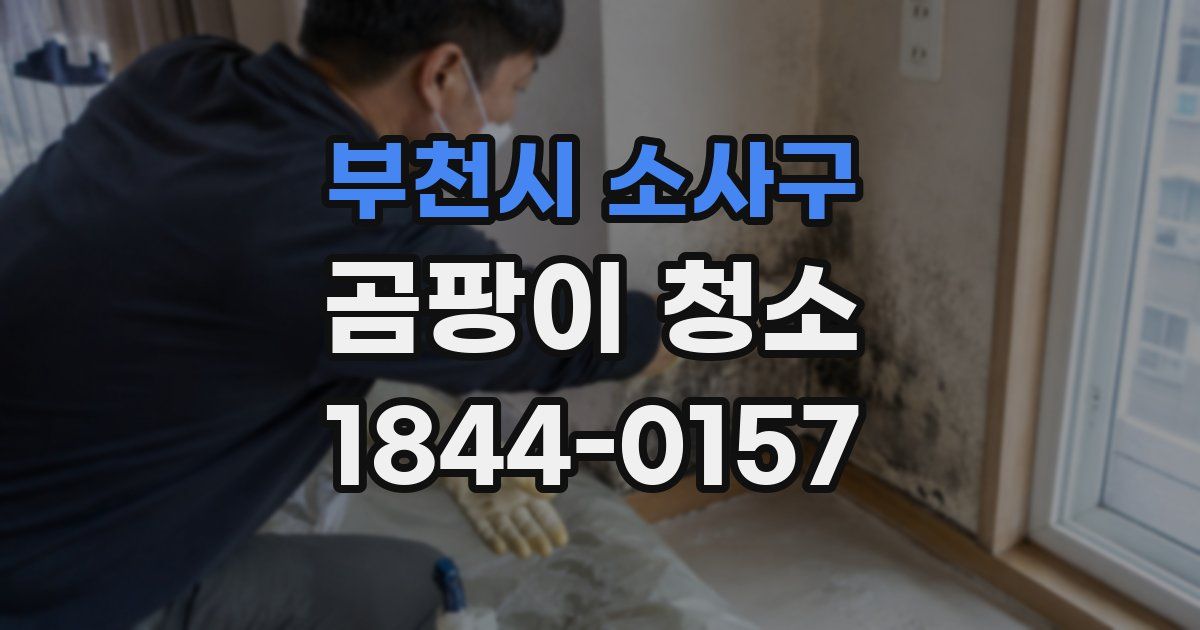 부천시 소사구 곰팡이 청소