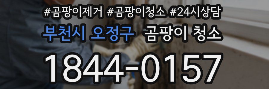 부천시 오정구 곰팡이 청소