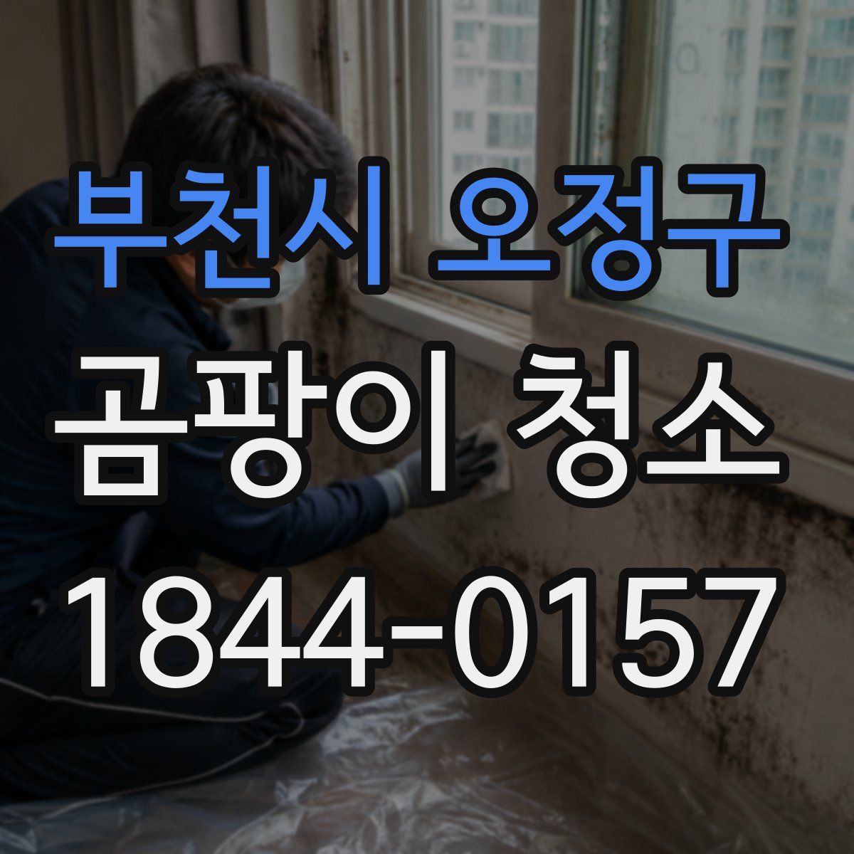 부천시 오정구 곰팡이 청소