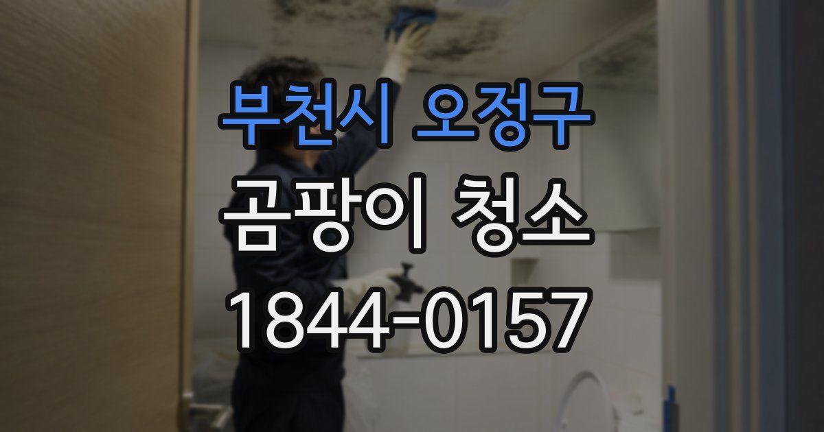 부천시 오정구 곰팡이 청소