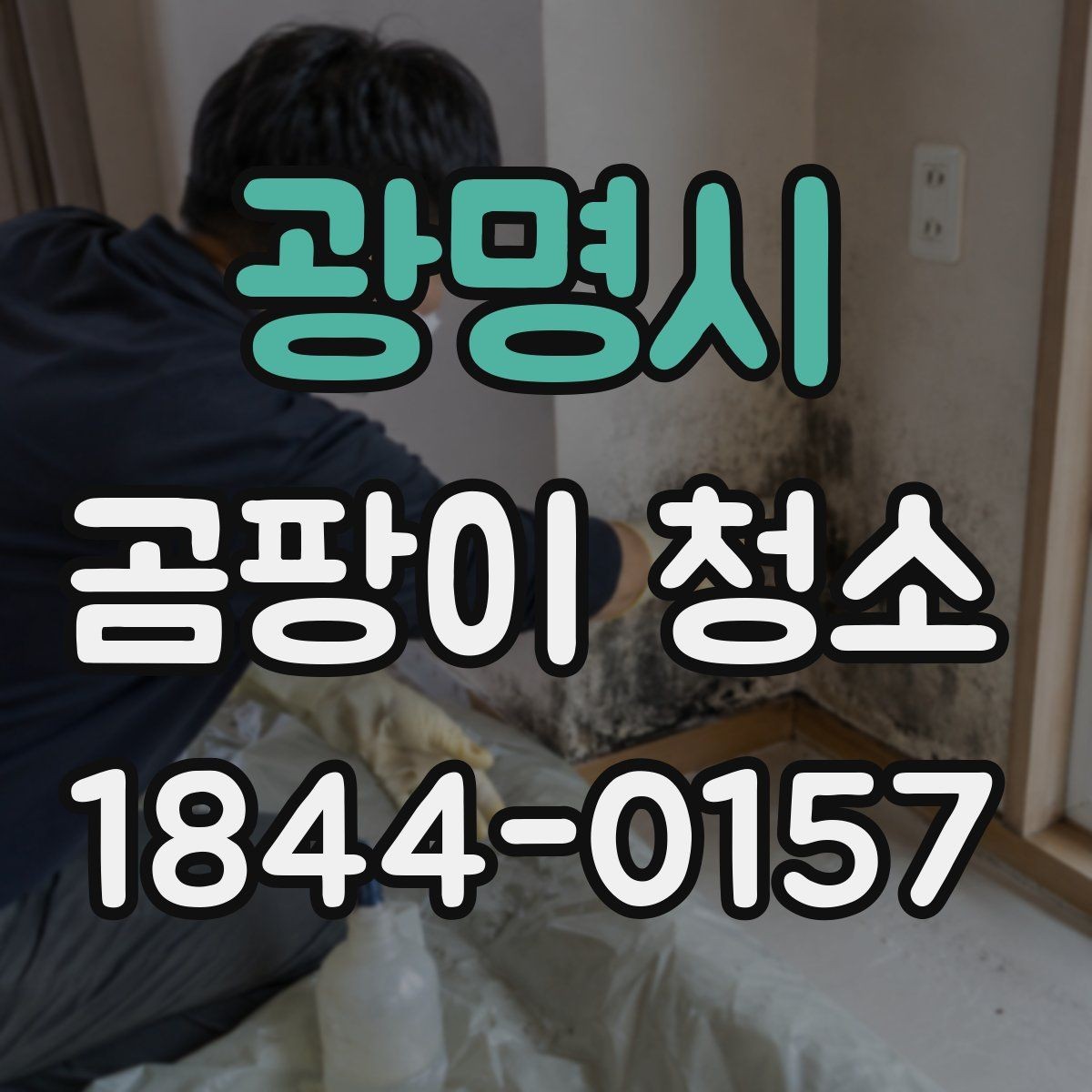 광명시 곰팡이 청소 곰팡이 종류에 따라 달라지는 부위별 접근