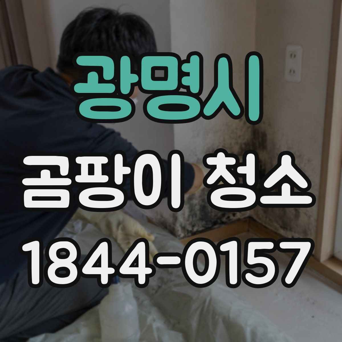 광명시 곰팡이 청소