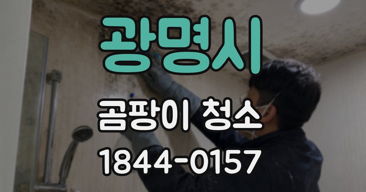 광명시 곰팡이 청소