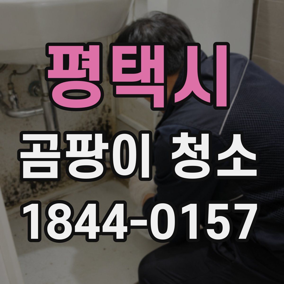 평택시 곰팡이 청소