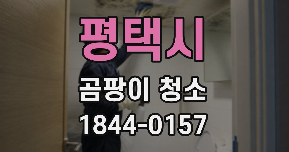 평택시 곰팡이 청소