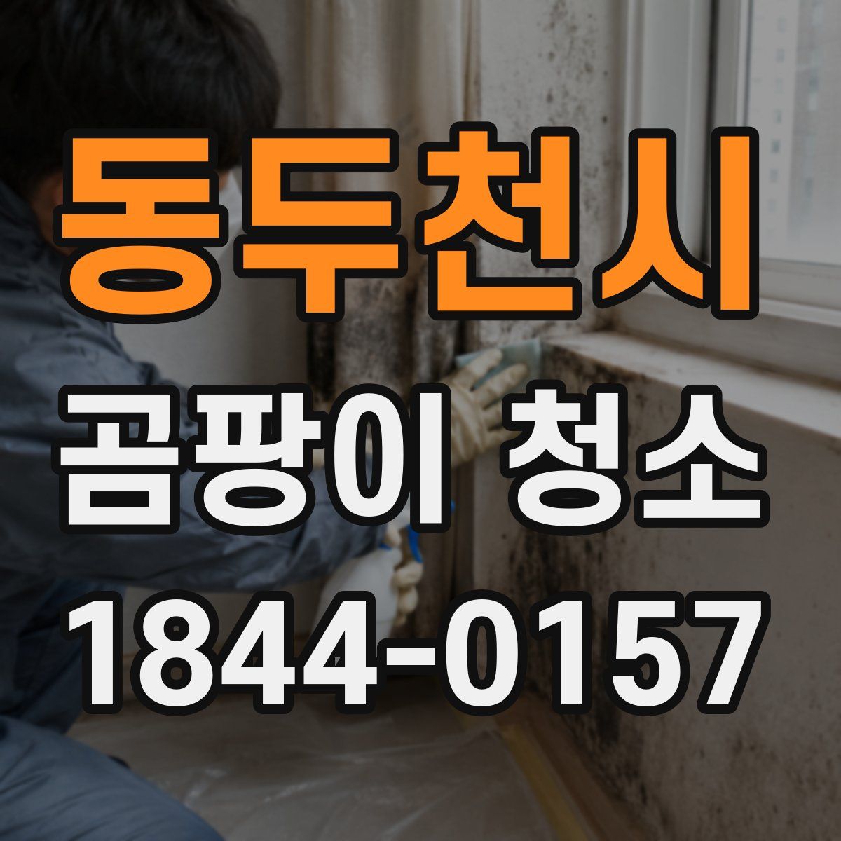 동두천시 곰팡이 청소