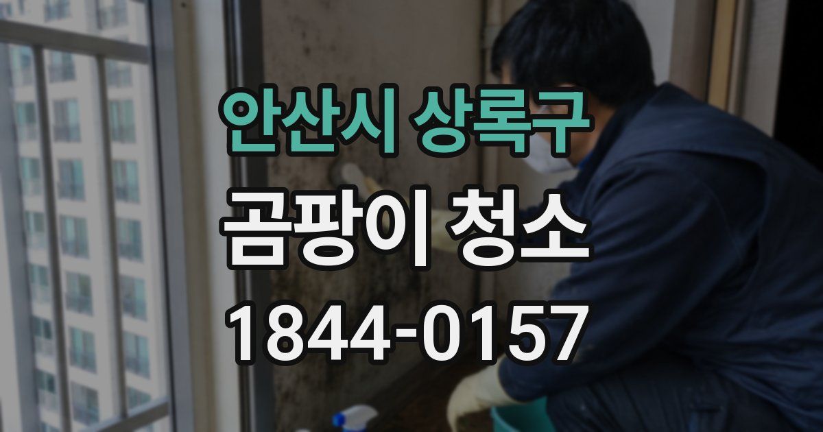 안산시 상록구 곰팡이 청소