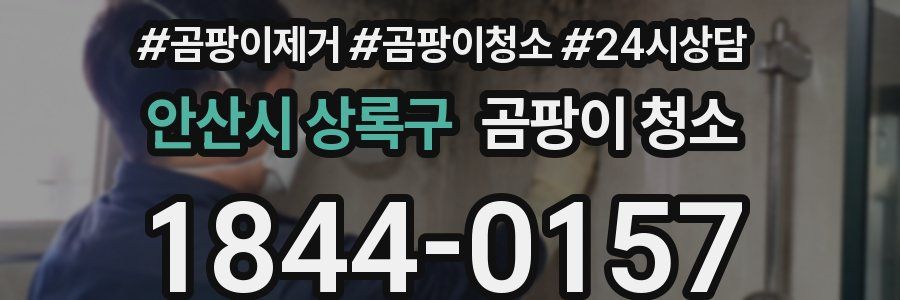안산시 상록구 곰팡이 청소