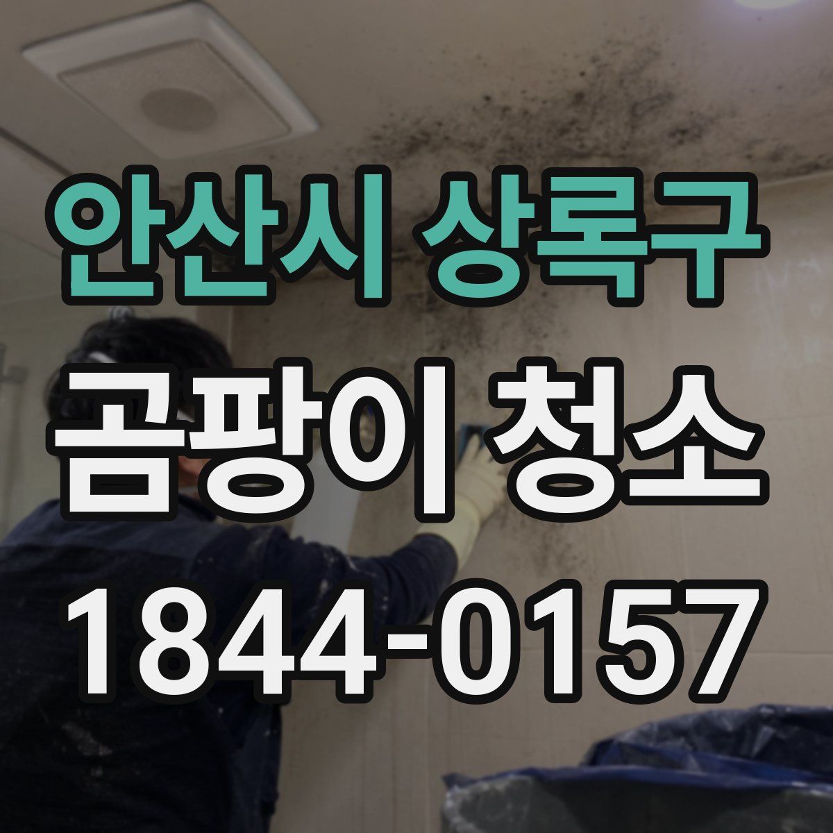 안산시 상록구 곰팡이 청소