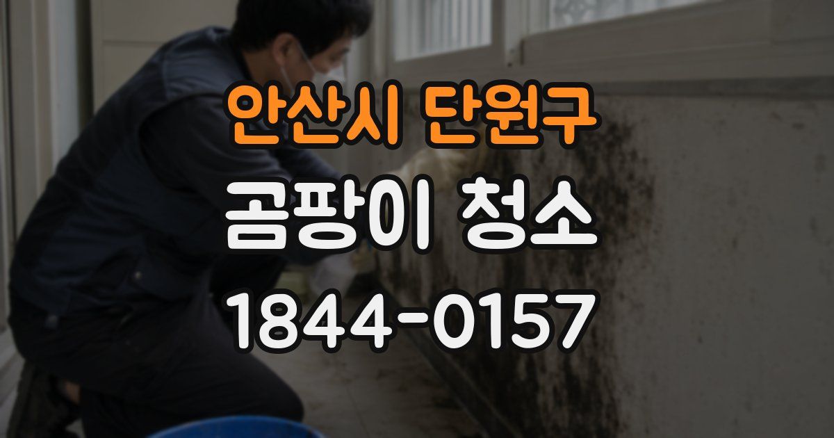 안산시 단원구 곰팡이 청소