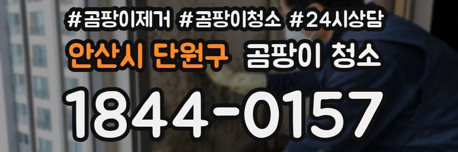 안산시 단원구 곰팡이 청소
