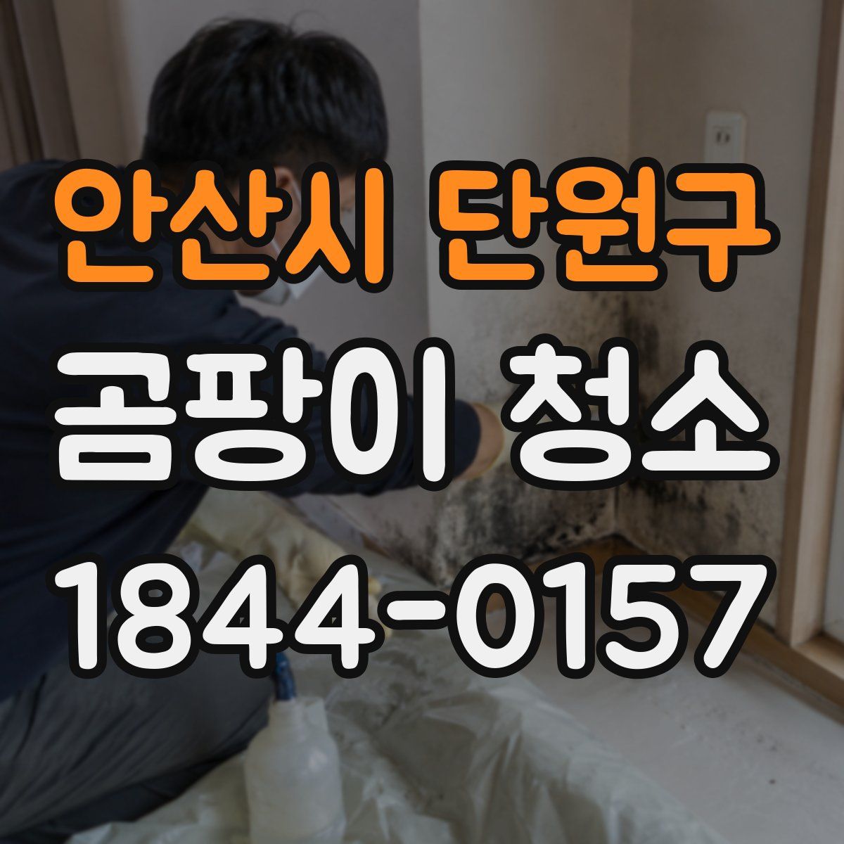 안산시 단원구 곰팡이 청소