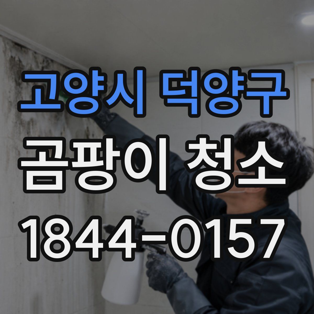 고양시 덕양구 곰팡이 청소