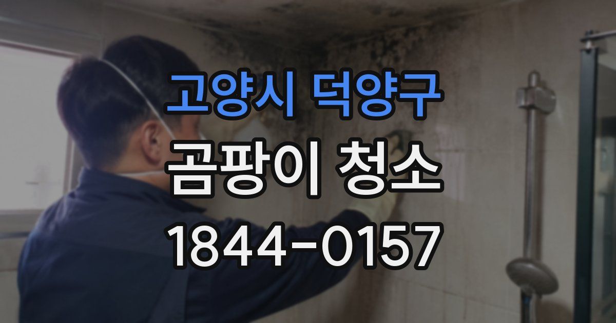 고양시 덕양구 곰팡이 청소