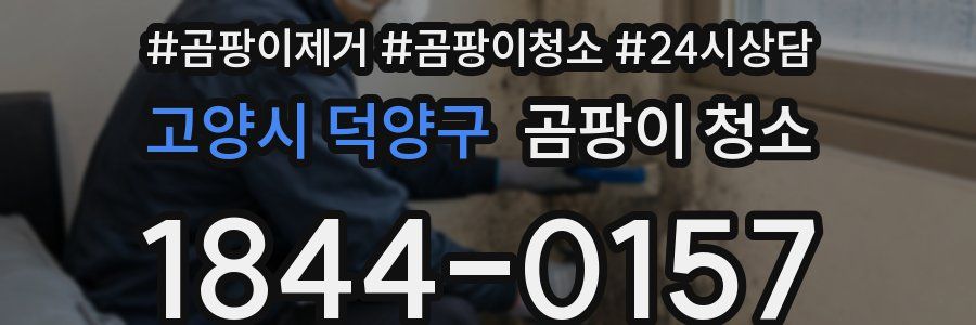 고양시 덕양구 곰팡이 청소