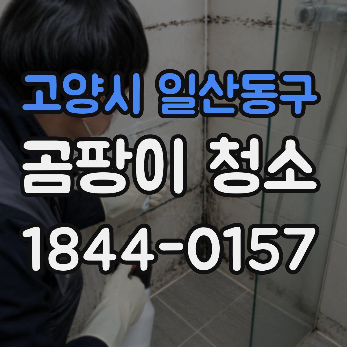 고양시 일산동구 곰팡이 청소