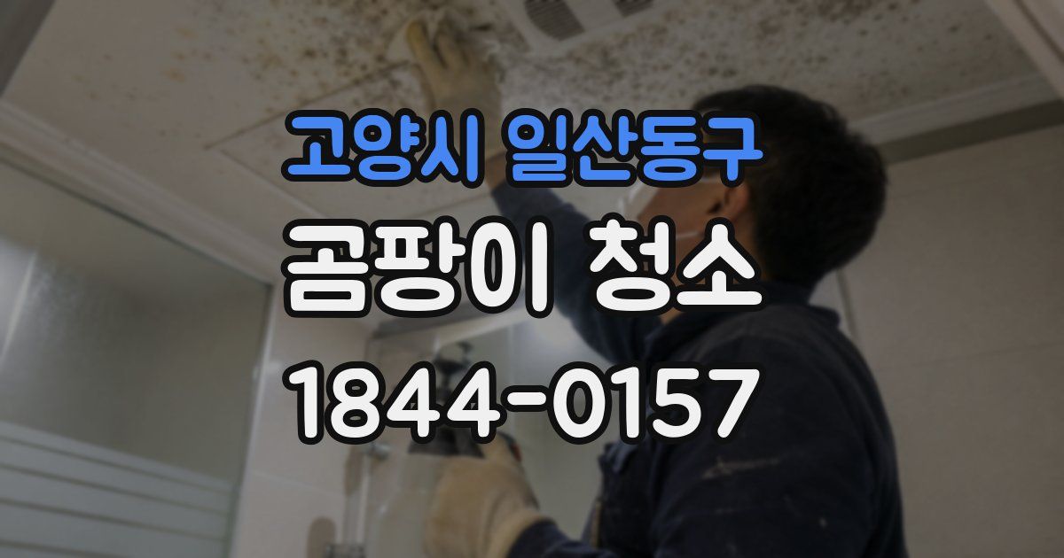 고양시 일산동구 곰팡이 청소