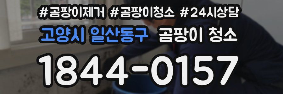 고양시 일산동구 곰팡이 청소