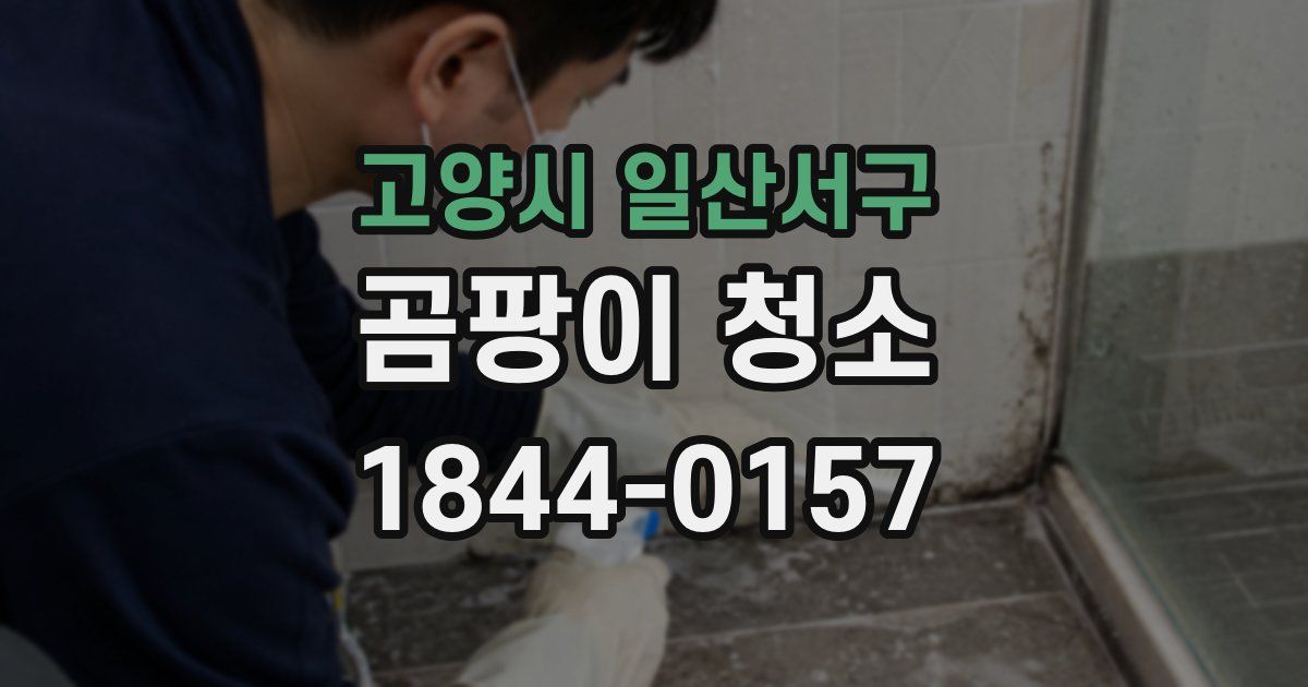 고양시 일산서구 곰팡이 청소