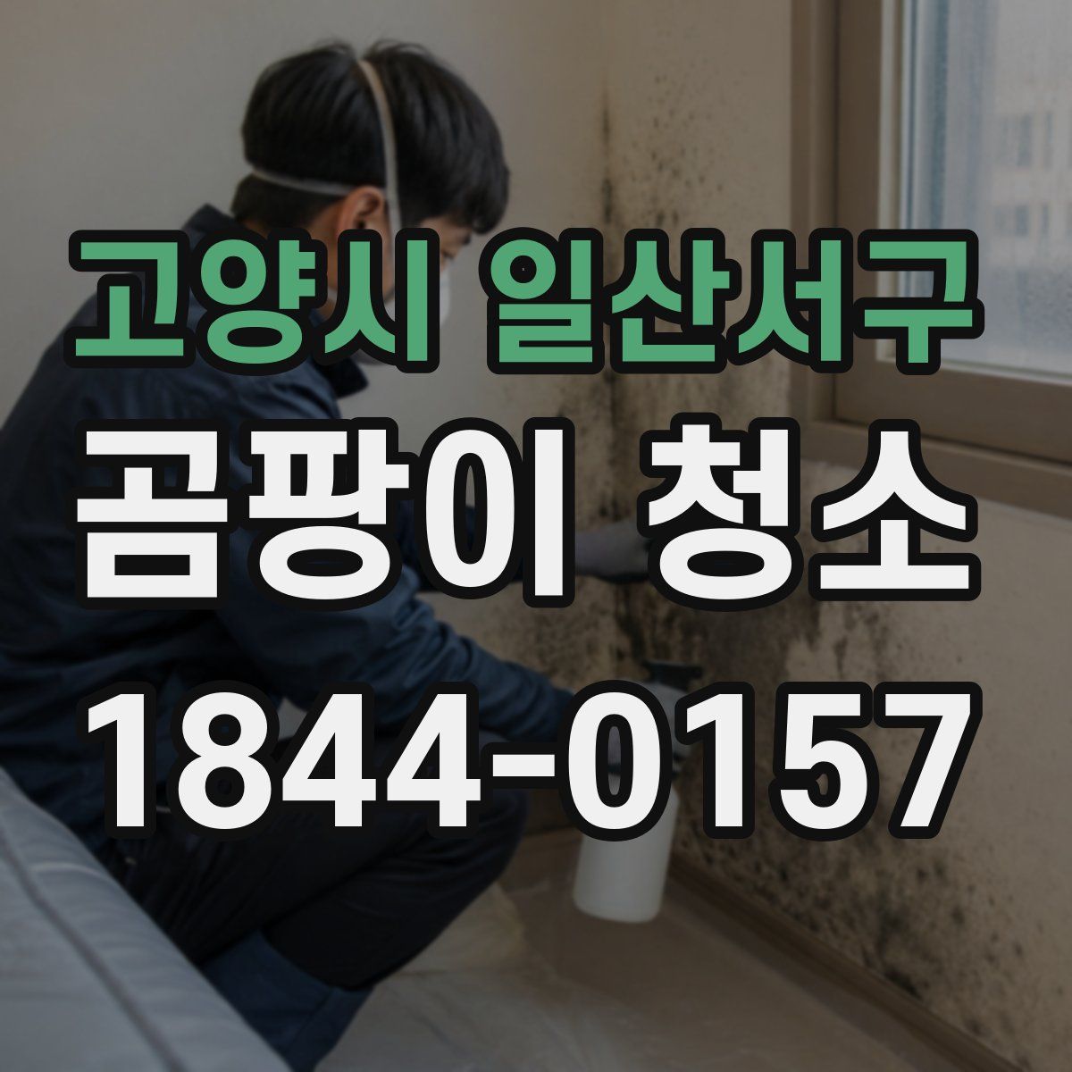 고양시 일산서구 곰팡이 청소