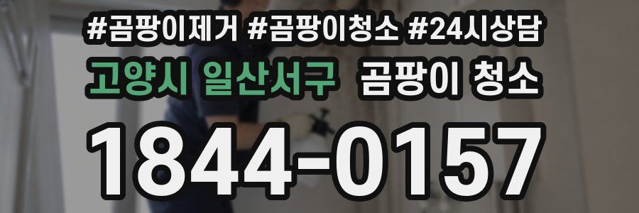 고양시 일산서구 곰팡이 청소