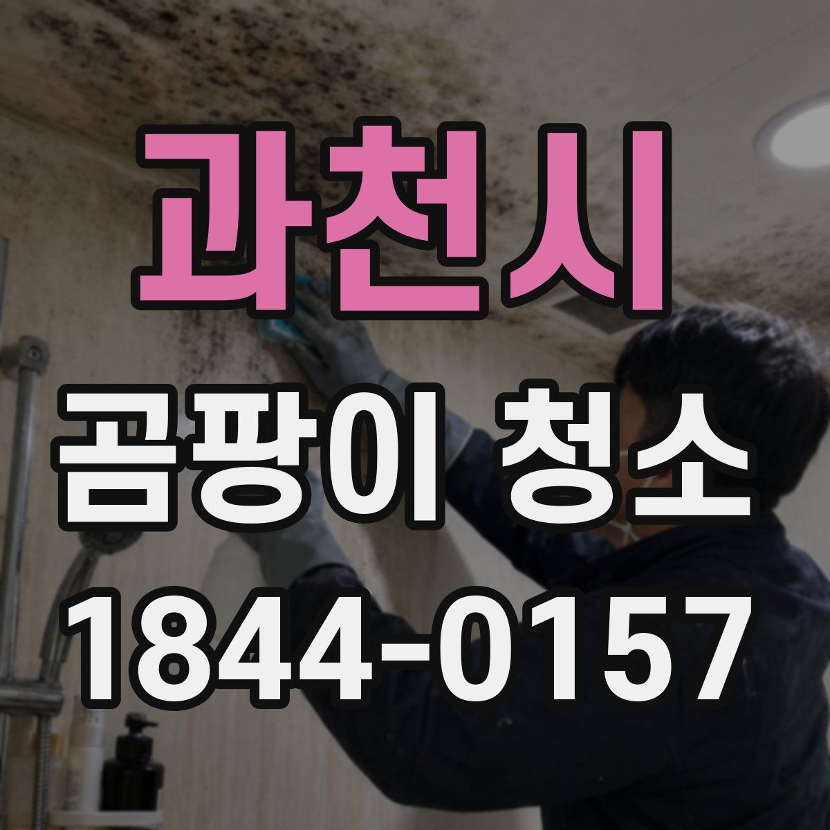 과천시 곰팡이 청소