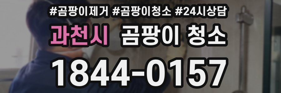 과천시 곰팡이 청소