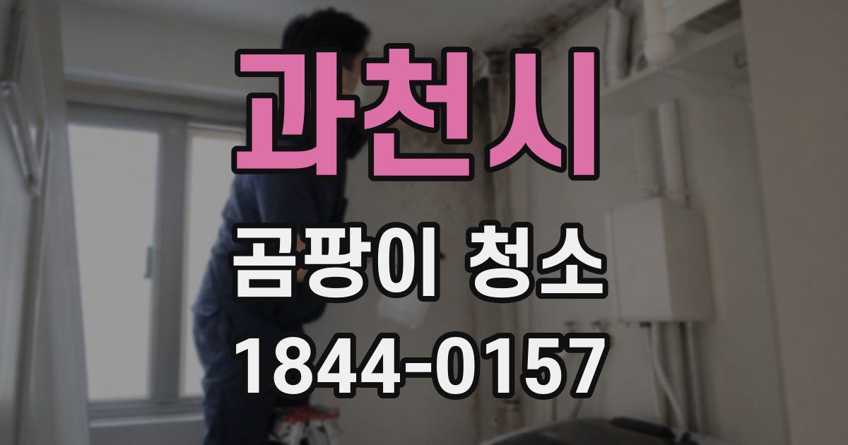 과천시 곰팡이 청소