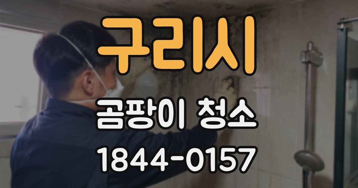 구리시 곰팡이 청소