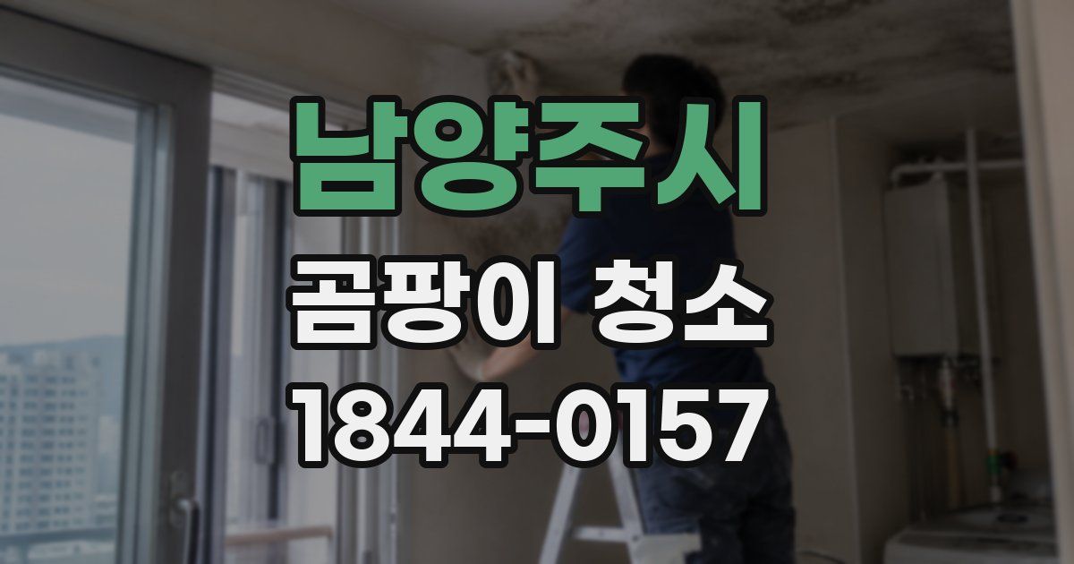남양주시 곰팡이 청소