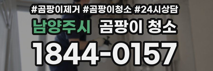 남양주시 곰팡이 청소