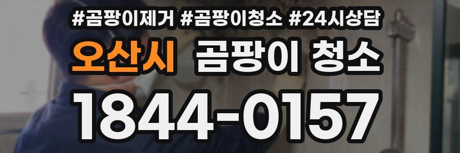 오산시 곰팡이 청소