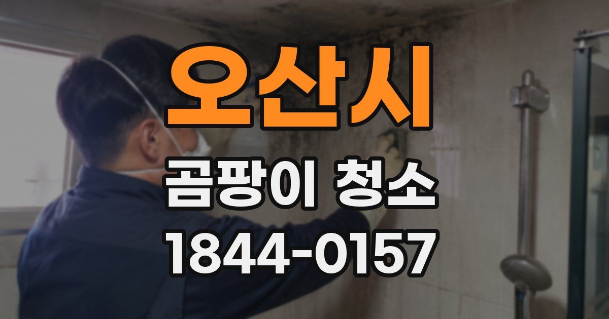 오산시 곰팡이 청소