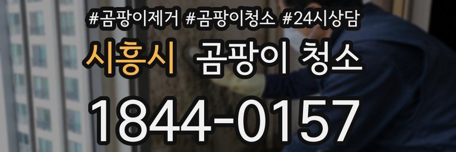 시흥시 곰팡이 청소