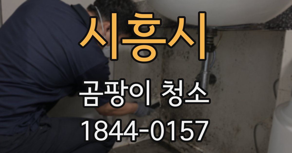 시흥시 곰팡이 청소